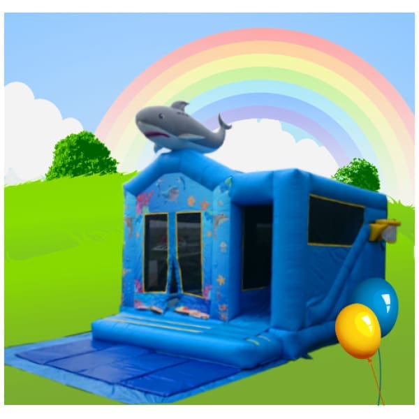 sharkcombi31