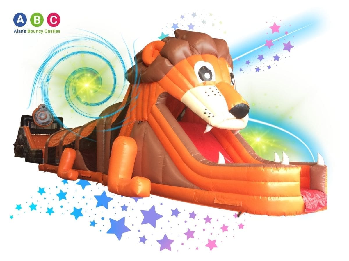 Bouncy Castles Limerick 41 1